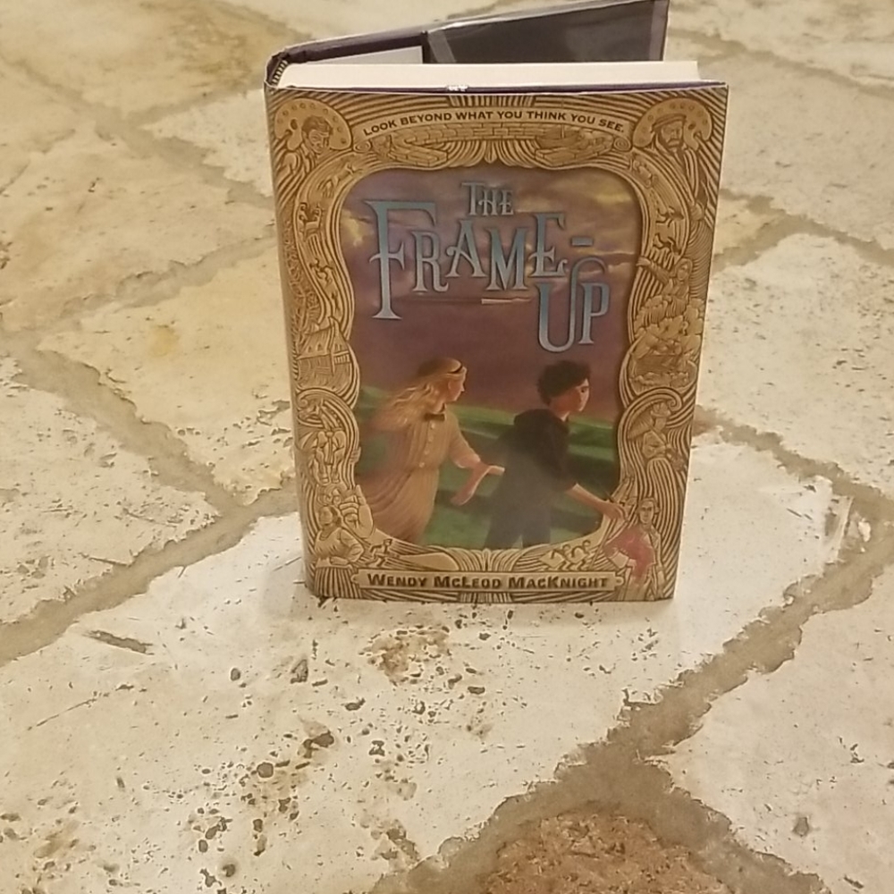 The frame Up book